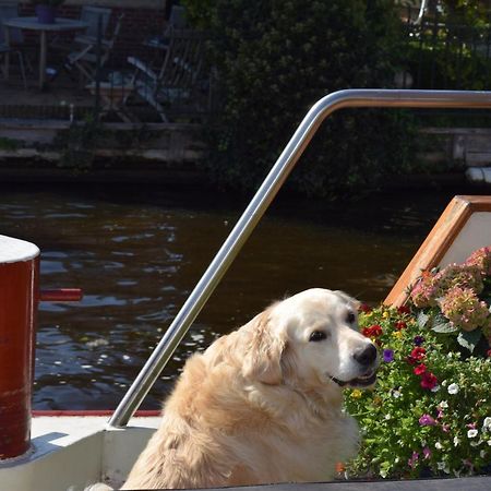 Aurora Panzió Schiedam Kültér fotó